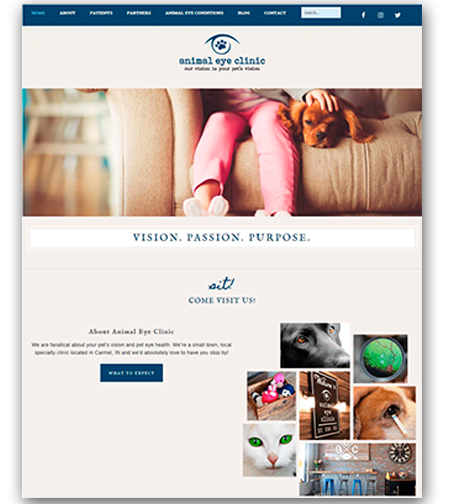 Animal Eye Clinic Website Design